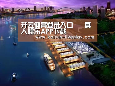 案例展示八
