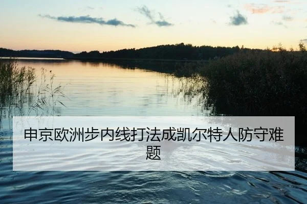 申京欧洲步内线打法成凯尔特人防守难题