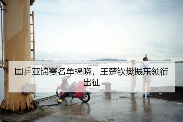 国乒亚锦赛名单揭晓，王楚钦樊振东领衔出征