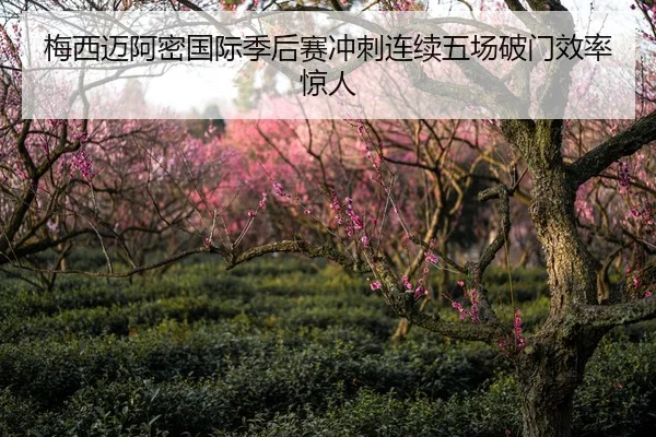 梅西迈阿密国际季后赛冲刺连续五场破门效率惊人
